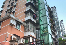 广州旧楼电梯加装创全国之最，创新“连片托管”应对后续管理挑战