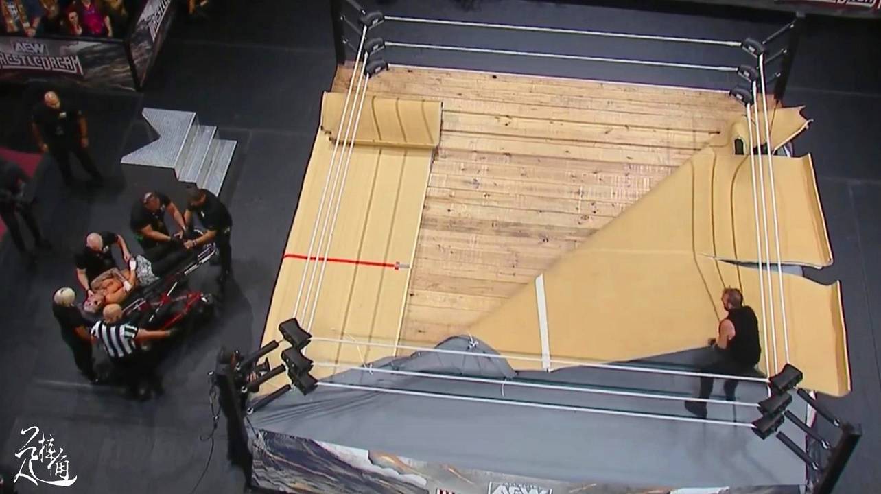 168娱乐-“限制级巨星”首秀AEW，两位WWE名人堂传奇罕见同框！